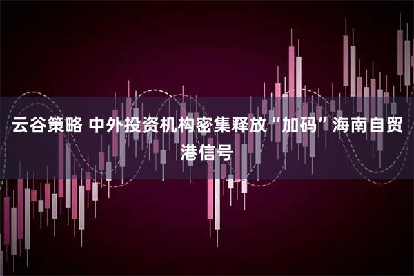 云谷策略 中外投资机构密集释放“加码”海南自贸港信号